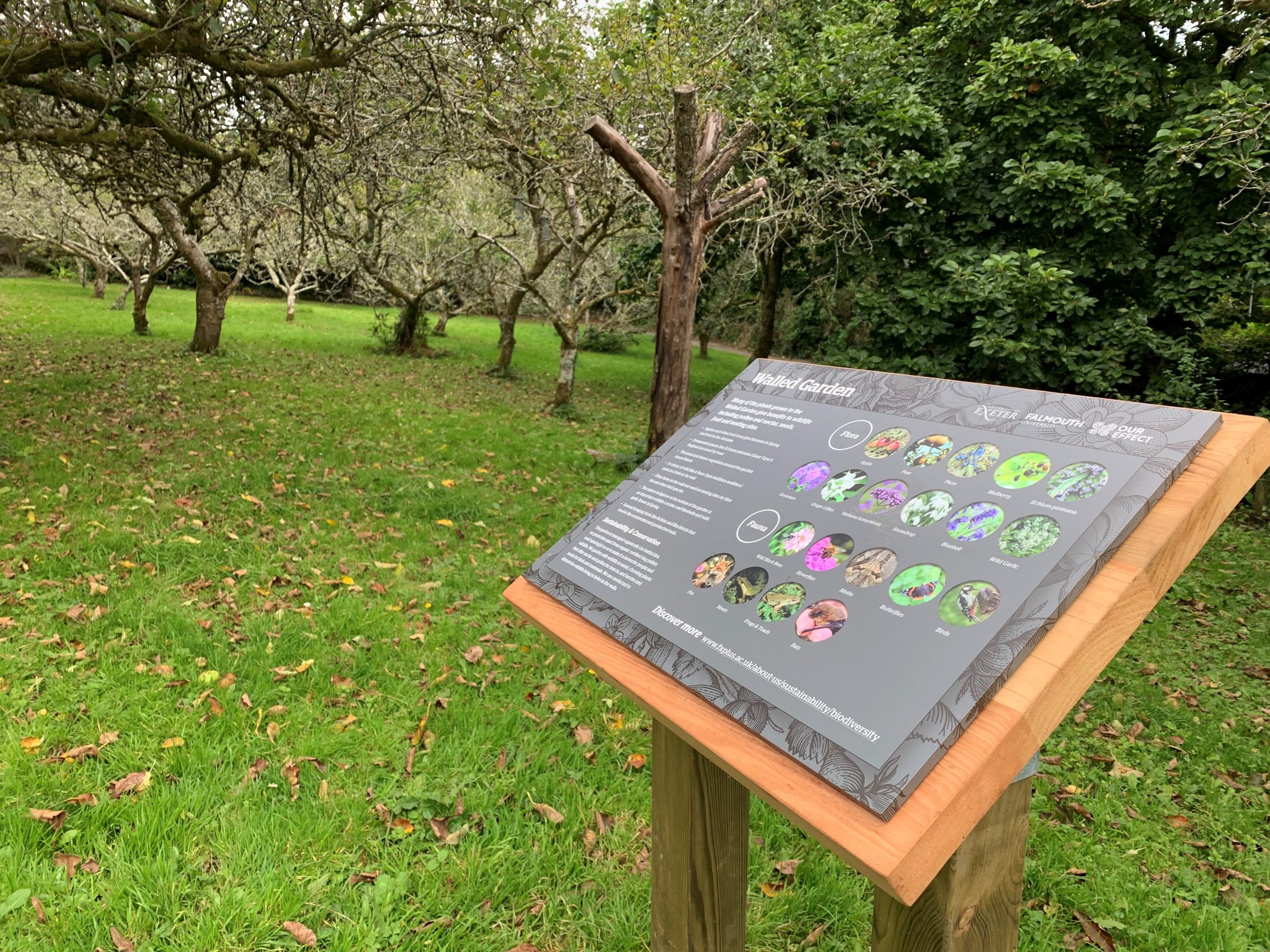 One of the biodiversity information signs at Penryn Campus