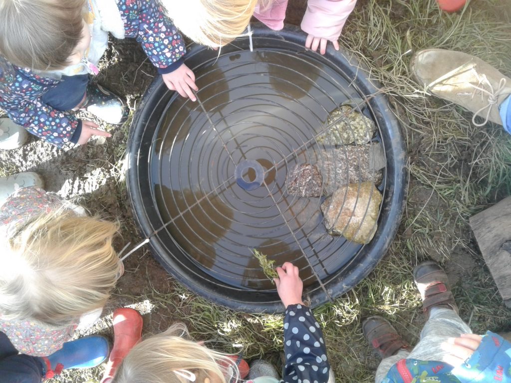 Children at Little Wonders Nursery looking at water and wildlife