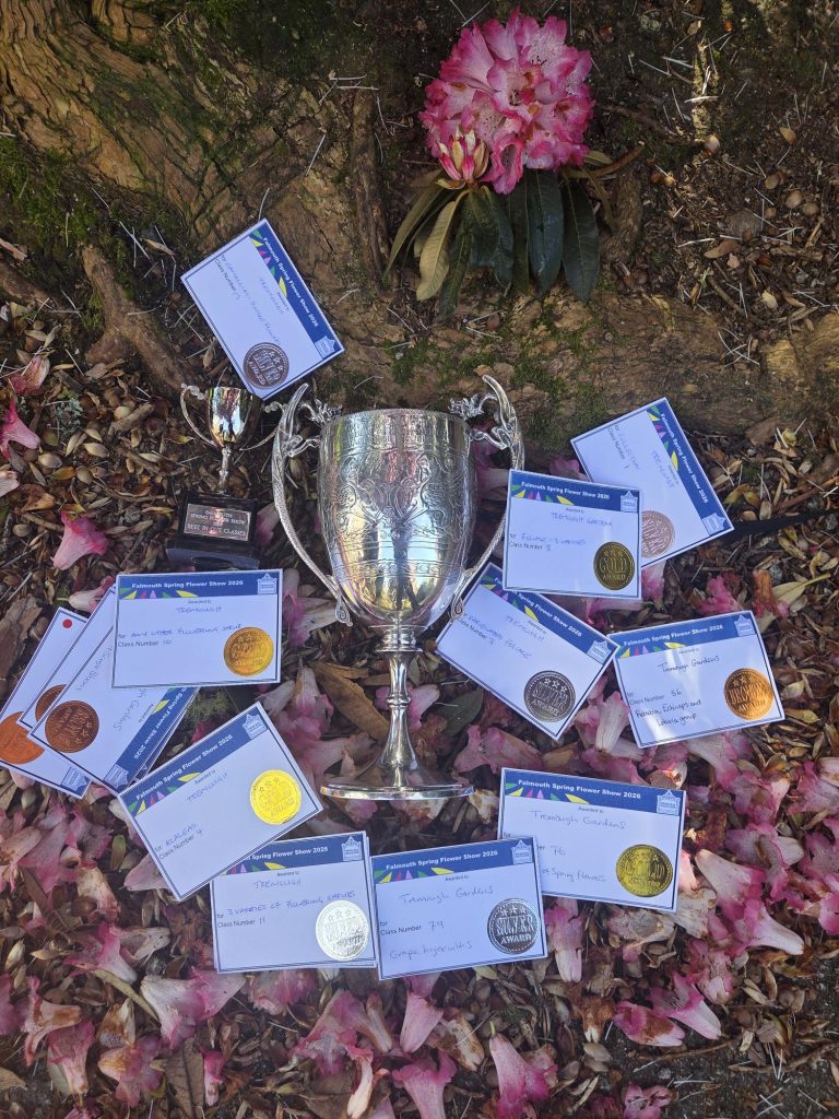 The trophies and medals pictured on the ground amongst the leaves and petals at the base of a tree