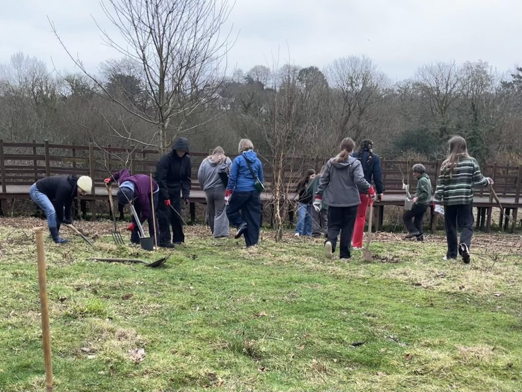 A larger group of volunteers pictured carrying tools, walking in a field and some digging holes in preparation to plant trees.