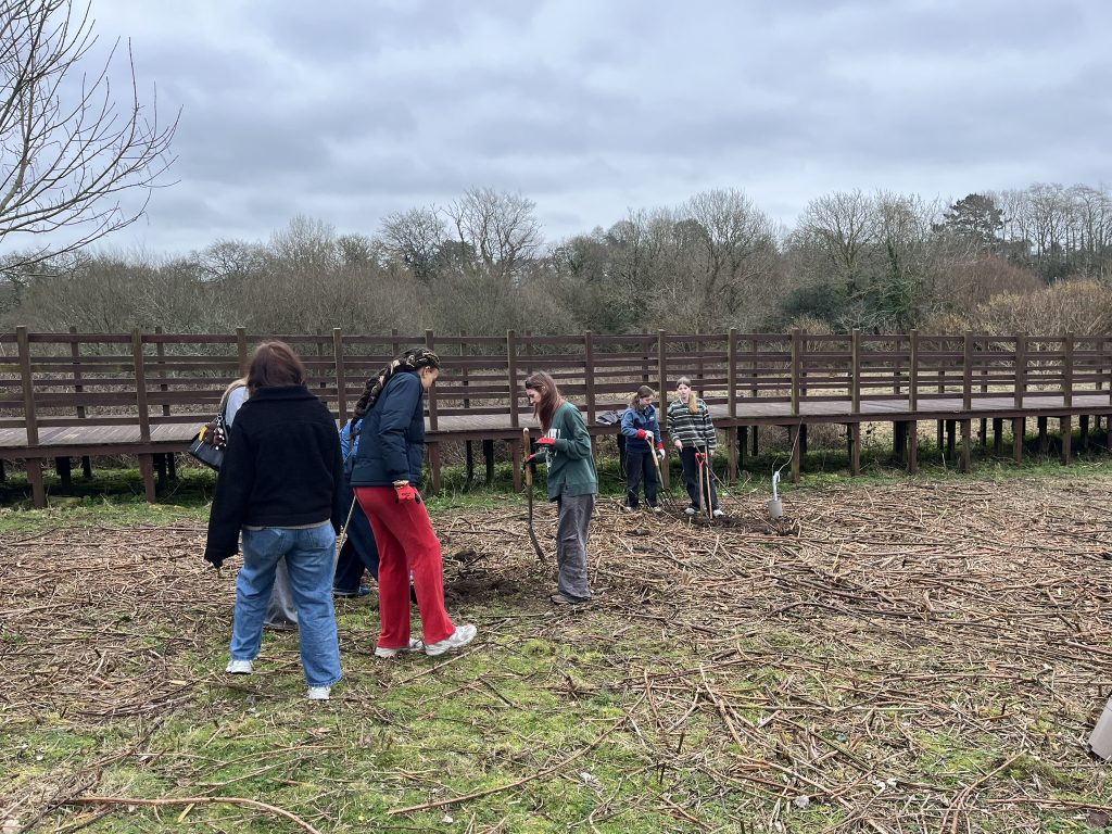Group of volunteers planting a number of young trees in the new orchard